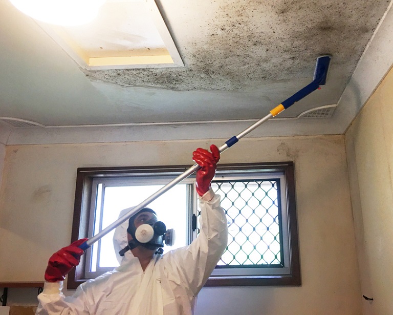 Thiết kế quán cafe sân vườn